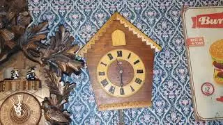 Hubert Herr Black Forest Musical Cuckoo Clock