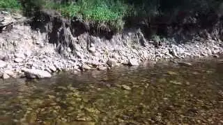 DSCN2750