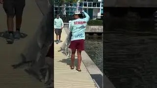 Patience Yields Fisherman Full Cast Net!