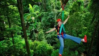 Jungle Surfing About Australia Travel Specialists