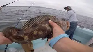 Deep Sea Rock Cod Fishing Monteray, California