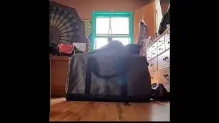 Skunk Bags Smell Proof Bag Demo - Mary Janes Glass Haberdasher @windstar_glass