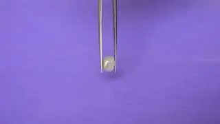 4.32 carat natural certified catseye video 182
