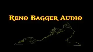 Reno Bagger Audio-2019 RGS all Irons-4 speaker system