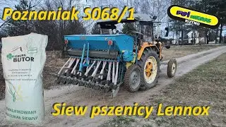 Siew pszenicy jarej przewódkowej Lennox nowym nabytkiem 2020r. Zetor 25330 + Poznaniak S068/1 2m