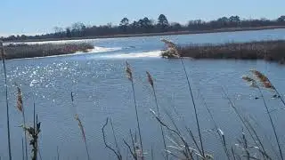 Shimmering Salt Marsh - A Tranquil Meditation Escape