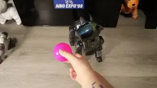 Sony AIBO ERS-210 Repair Before & After