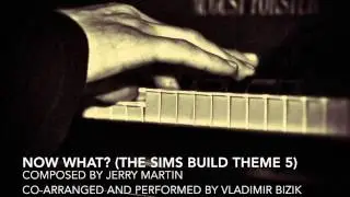 Now What? (The Sims Build Theme 5) cover by Vladimir Bizik (Live)