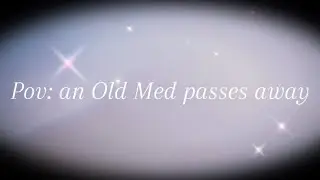 Pov: an old Med cat passes away ||Wcue/Wcft edit||