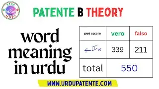 learn patente b theory ch1 word meaning in urdu punjabi  