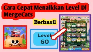 Cara Cepat Naik Level Di MergeCats | MergeCats