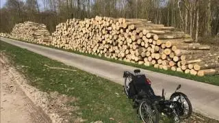 Houtkap in Horsterwold