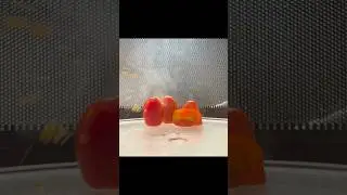#Cherrytomato | What Next in the #Microwave 🍅🔥 Experiment