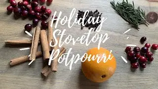 DIY FRUGAL NEIGHBOR GIFT IDEA FOR CHRISTMAS | HOLIDAY STOVETOP POTPOURRI | The Lilac House