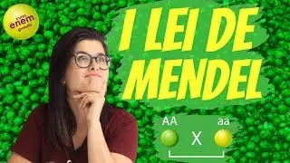 PRIMEIRA LEI DE MENDEL | Resumo de Biologia para o Enem