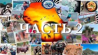 Как полюбить Африку за 2 недели. Часть 2. How to love Africa in 2 weeks. Part 2.