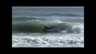 FLORIDA BODYBOARDING REPORT WINTER 2010: Jan 17 2010 Bch St Chest Hi swell