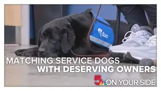 St. Louis facility matches service dogs with deserving owners
