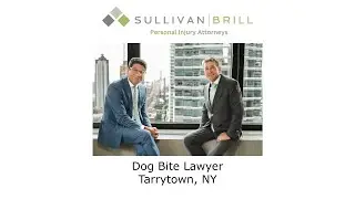 Dog Bite Lawyer Tarrytown, NY - Sullivan Brill Personal Injury Attorneys