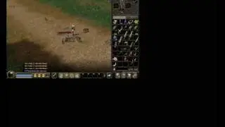 Metin 2 gameplay