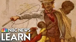 Slave Families Split by Civil War
