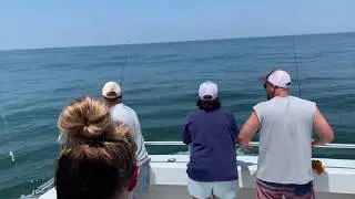 Katydid Sportfishing Lewes Delaware with Citation Sea Bass