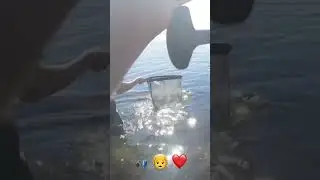 N&aelig;ste generation lystfisker er klar 🐟😁