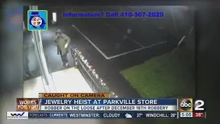 Surveillance video released in Parkville jewelry store robbery