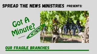 Our Fragile Branches