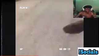 Pheanx Reacts To Dthang Running From NYPD