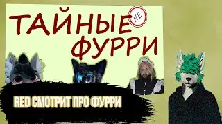 Red смотрит @PlayingPossumHiss Тайные (не) фурри Ютуба: Бэбэй, Леми, Роско