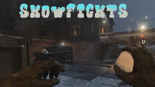 Snowfights With Bule