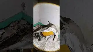 Live urbex paranormal replay du 09/12/25