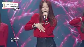 [ We Wish For Your Comeback #21 ] #EXID trailer