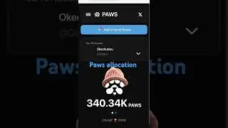 How to check paws allocation #crypto #paws