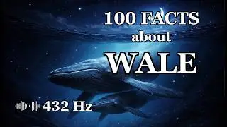For Anxiety at Night Relaxing Science about Wales | Deep Relaxation to Fall Asleep (432Hz Ambience)