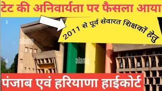 tet news today, Punjab High Court, 