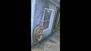External Property Cleanout