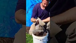 FERTILIZZANTE PER PIANTINE DEFINITIVO!