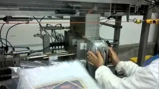 Alinhadora e Embaladora de Salsicha