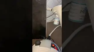 Bed bugs Heat Steam 180c Treatment london