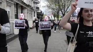 Source, the new animal rights organisation in our city.