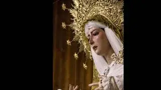 Dolores de Carlos Llano