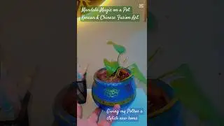 Mandala Magic for a Pothos plant  Fusion Art #pothos #plants #diy #painting #shortsfeed #potpainting