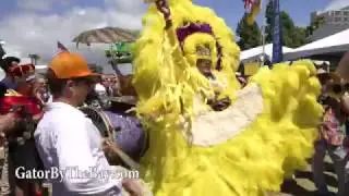 Gator by The Bay 2017