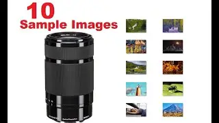 Sony 55-210 F4.5-6.3 Sample Images [ Photo Gallery ] Lens for Outdoors: Portraits Wildlife Landscape