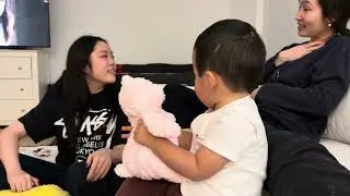 Erica's Pink Bear 2
