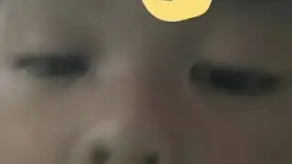 Curahan hati si mail curut