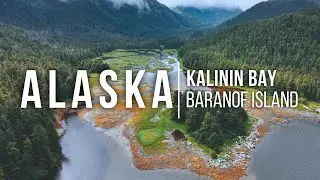 BROWN BEAR in Kalinin Bay, ALASKA! - Ep. 27
