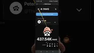 PAWS ALLOCATION CHECKER LIVE🔥🔥|HOW TO CHECK YOURS💯💥💥